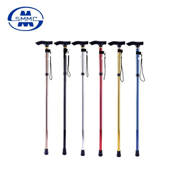 Walking Stick
