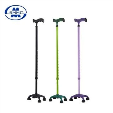 Walking Stick
