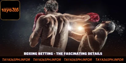 Boxing Betting - The Fascinating Details You May Not Know At Taya365