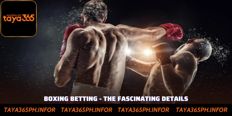 Boxing Betting - The Fascinating Details You May Not Know At Taya365
