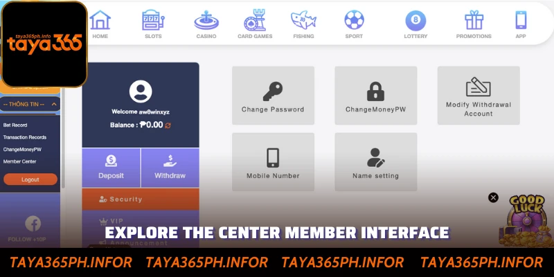Explore the Center Member Interface