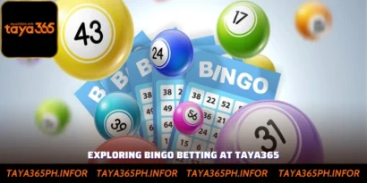 Exploring Bingo Betting At Taya365