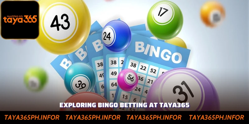 Exploring Bingo Betting At Taya365